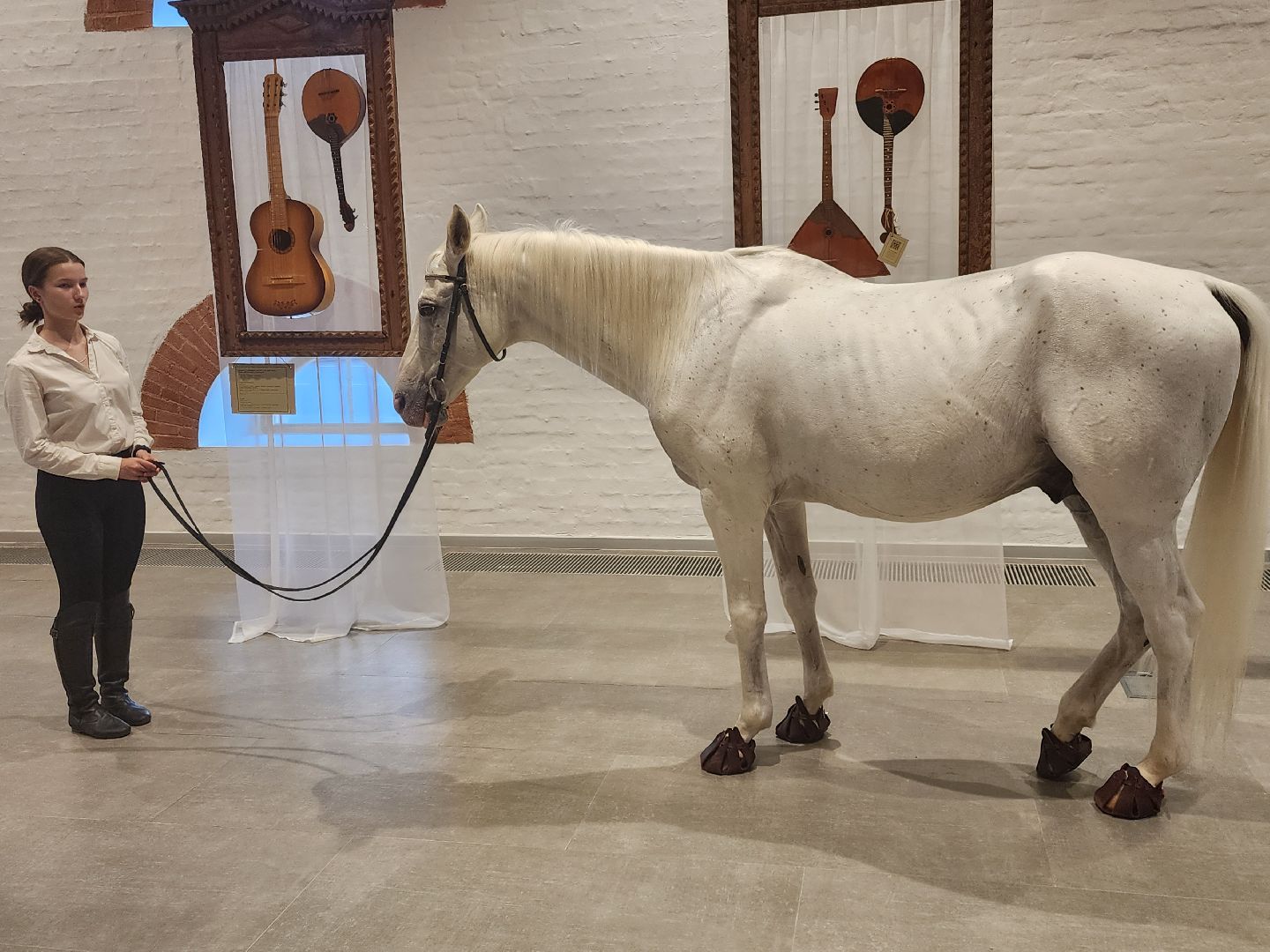 Звенигород, Звенигородский Манеж, конный клуб