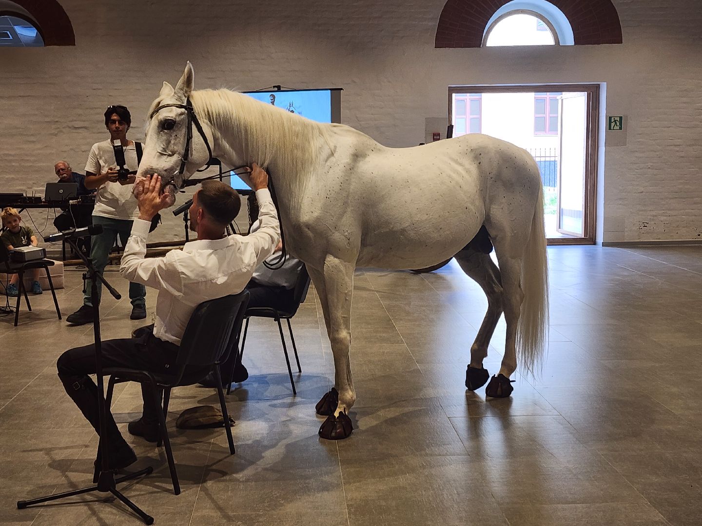 Звенигород, Звенигородский Манеж, конный клуб