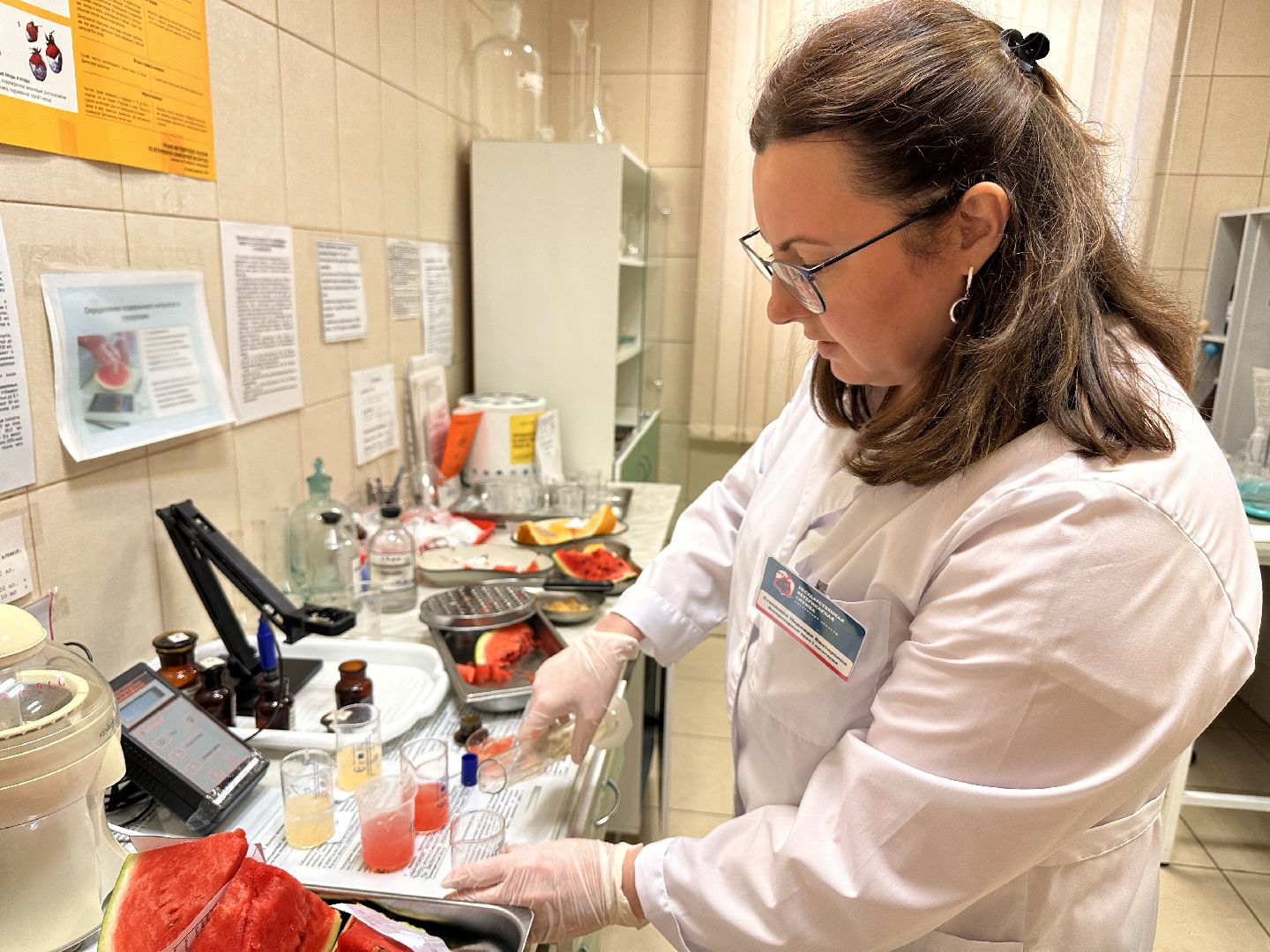 Одинцово, Арбузы, Контроль качества, Подмосковье