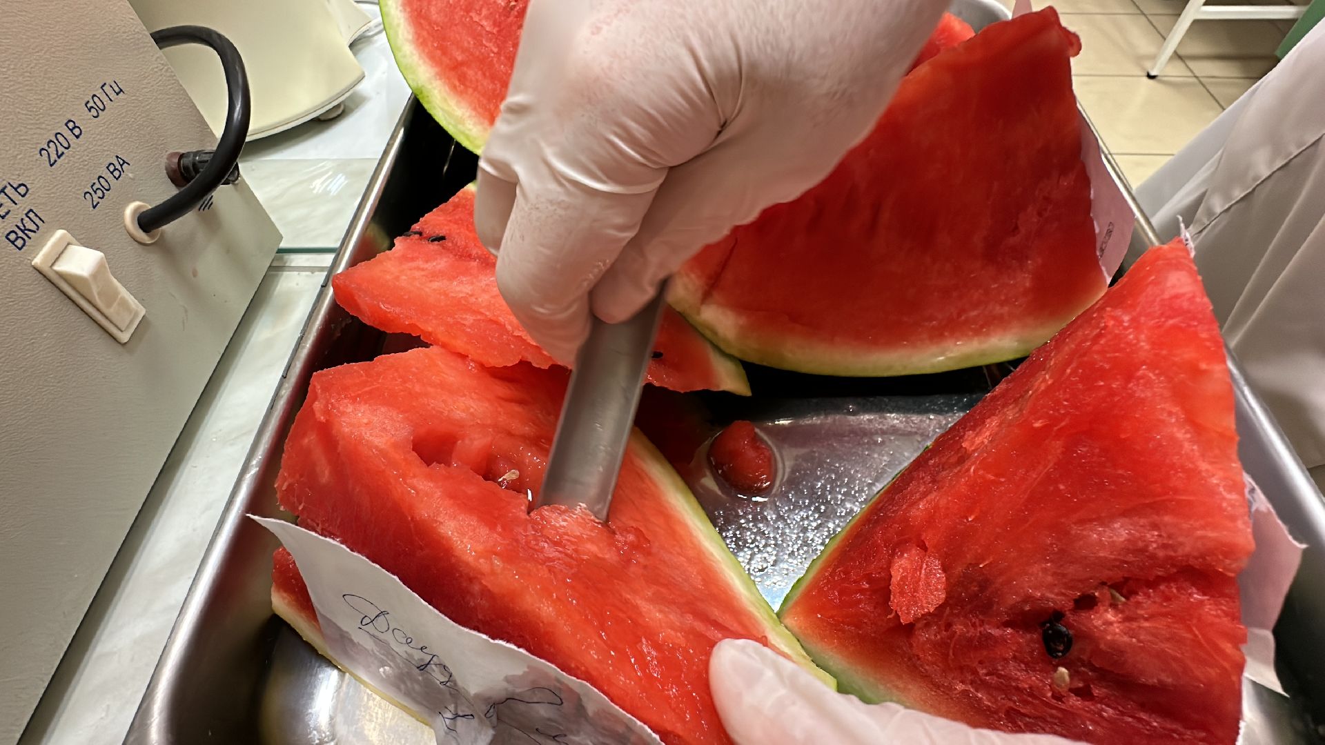 Одинцово, Арбузы, Контроль качества, Подмосковье