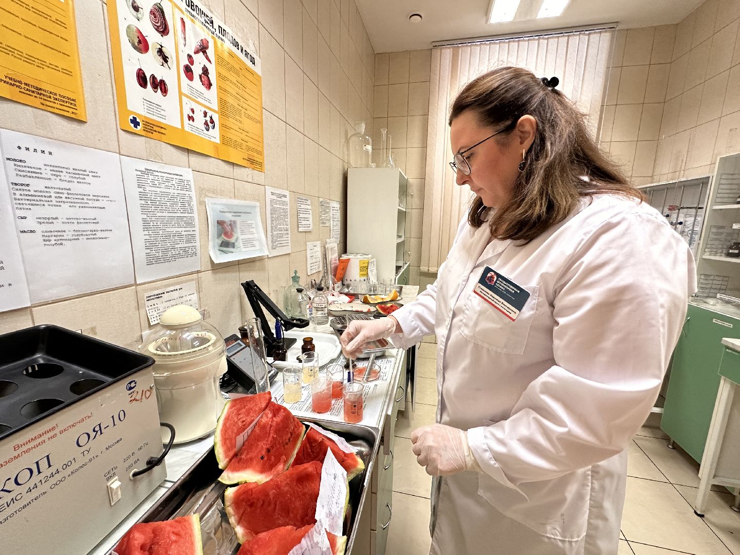 Одинцово, Арбузы, Контроль качества, Подмосковье