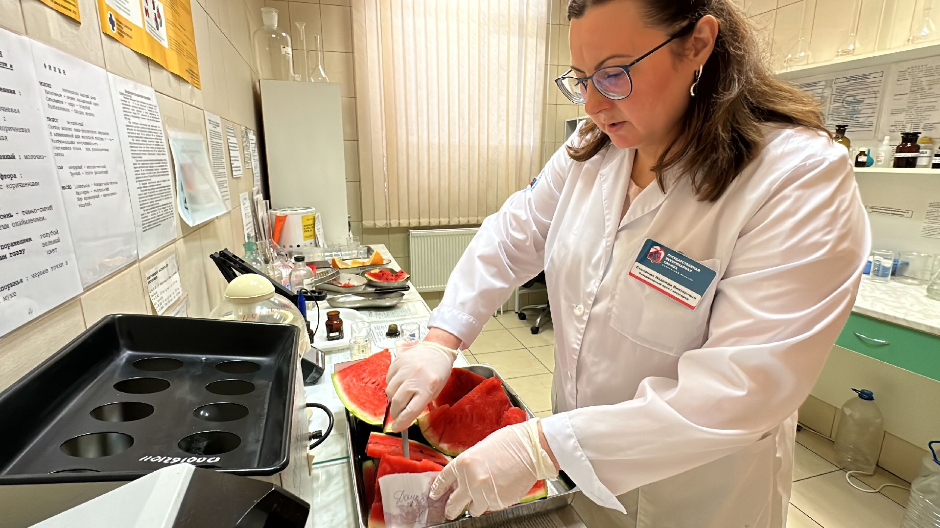 Одинцово, Арбузы, Контроль качества, Подмосковье