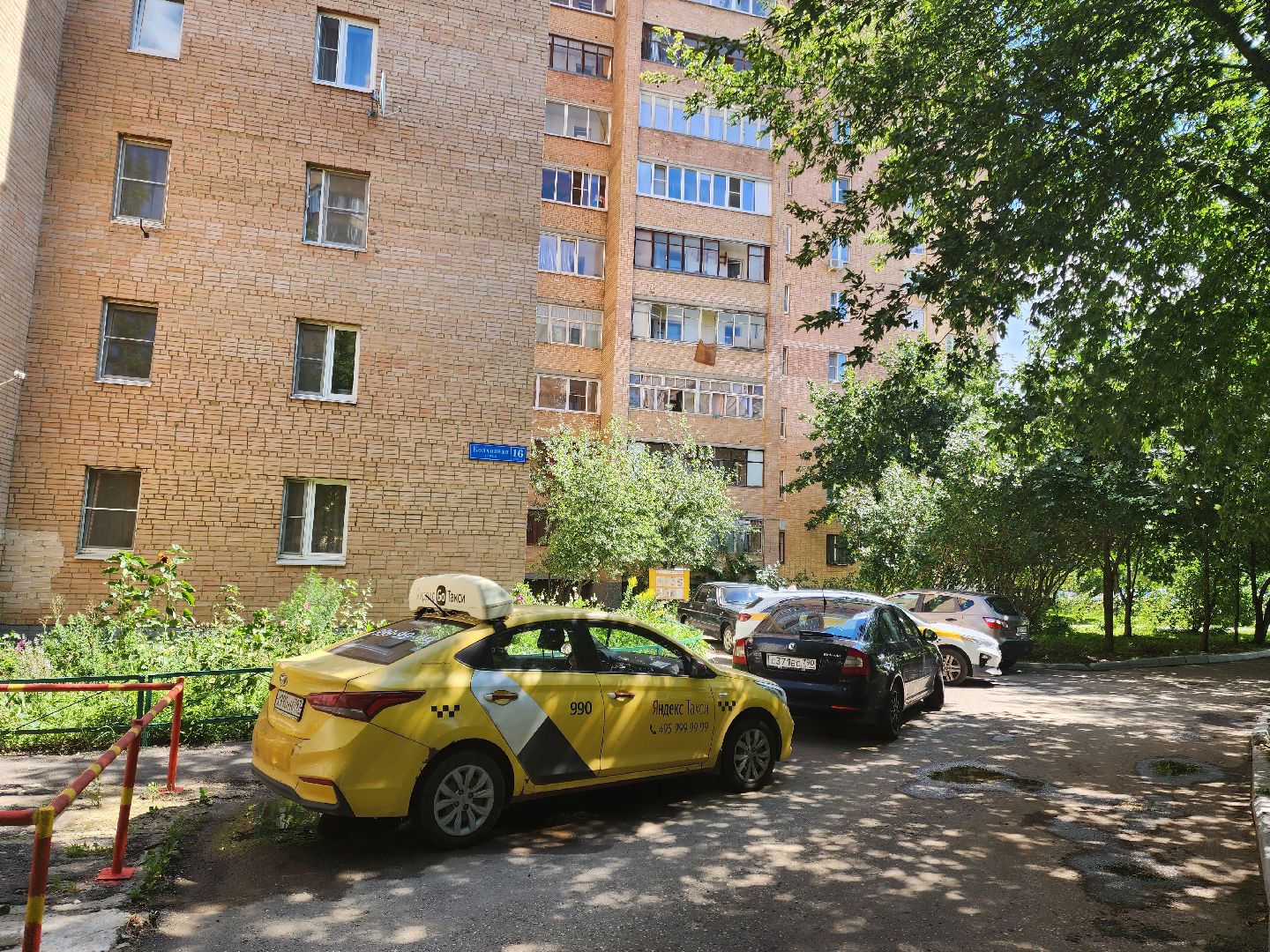 Подольск, зоозащитник, собака, выбросил из окна