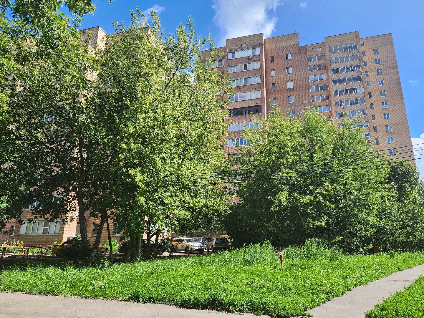 Подольск, зоозащитник, собака, выбросил из окна