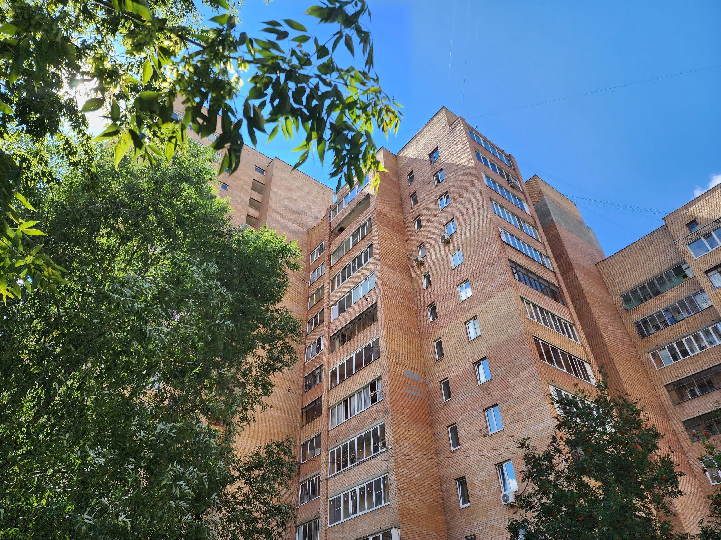 Подольск, зоозащитник, собака, выбросил из окна