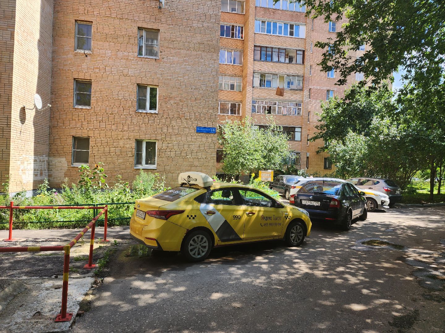 Подольск, зоозащитник, собака, выбросил из окна