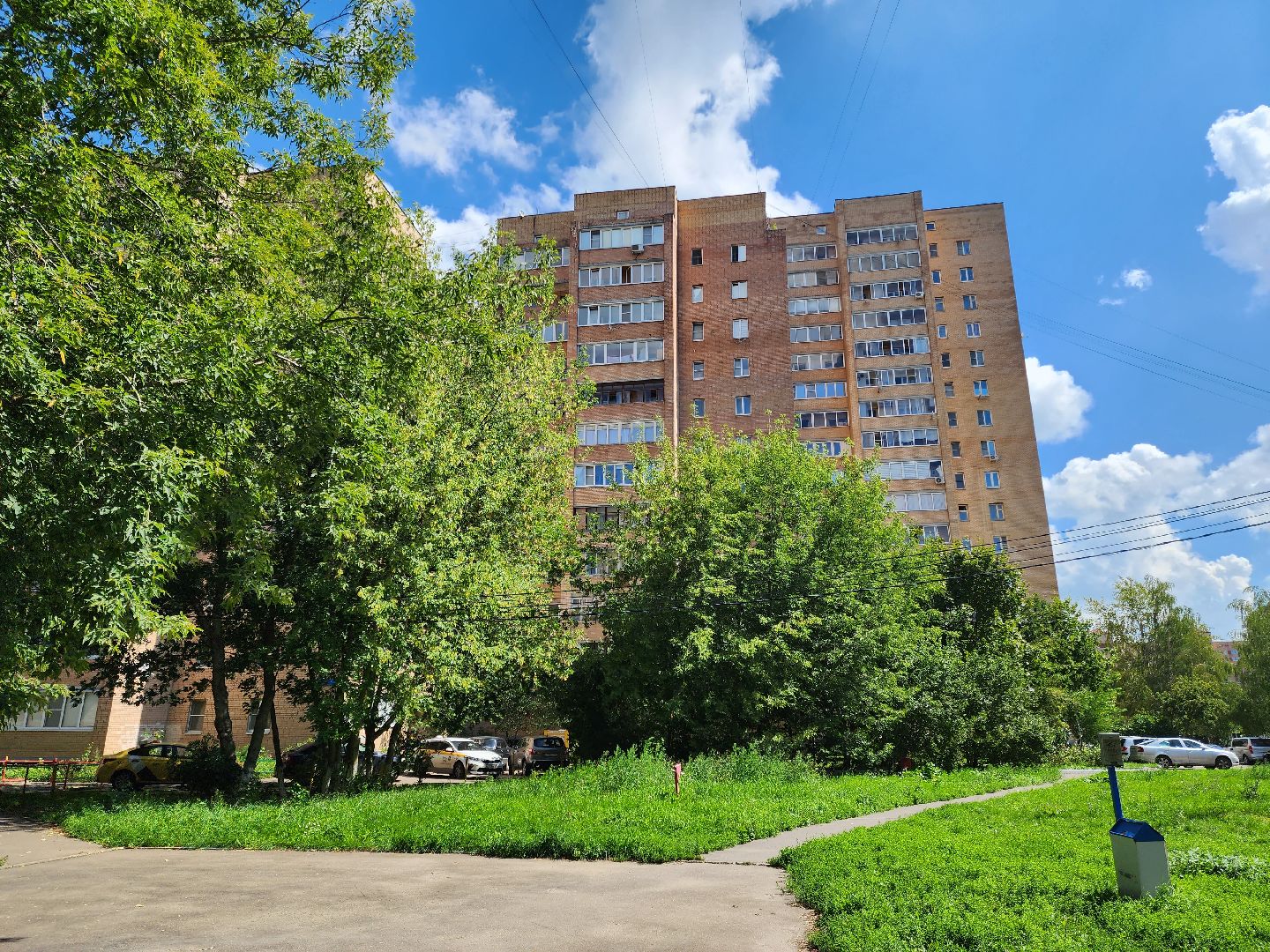 Подольск, зоозащитник, собака, выбросил из окна