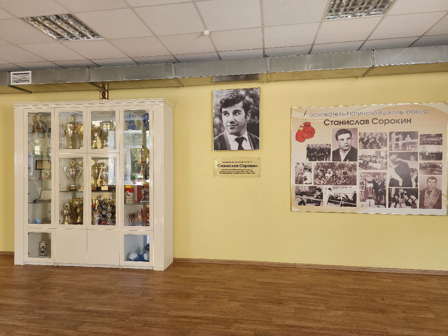 Школа бокса, бокс, школа олимпийского резерва, Ногинск, Богородский городской округ