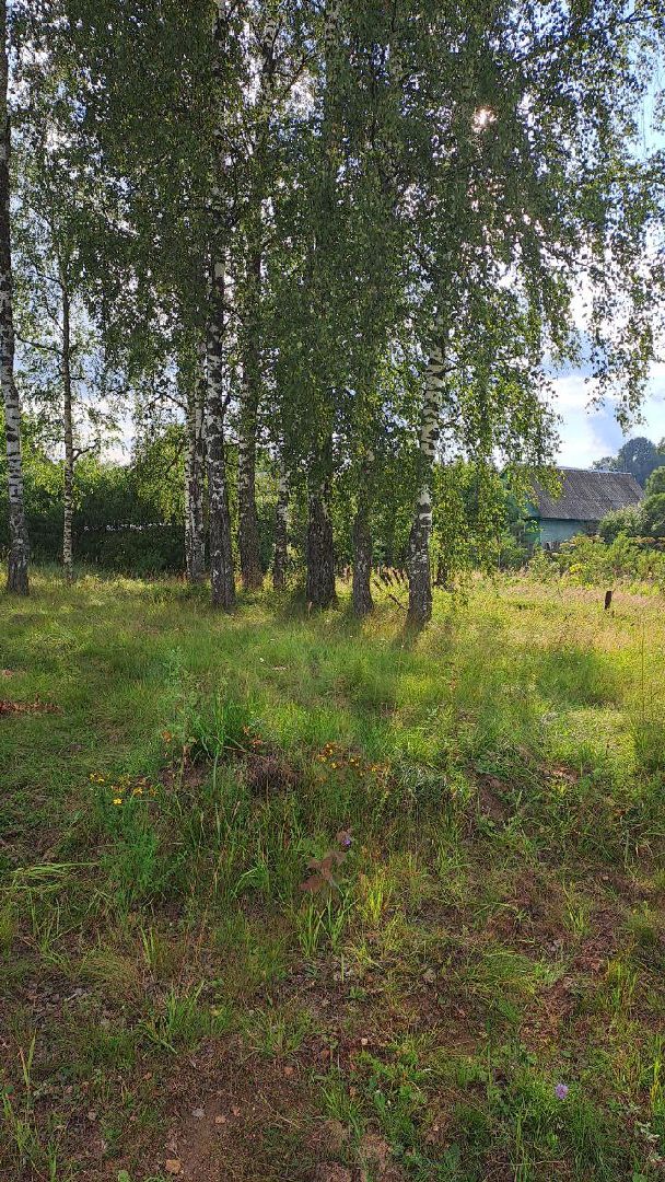 Подмосковье, Ивантеевка, Земля-врачам, Здравоохранение