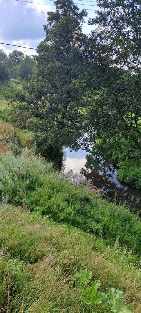 Подмосковье, Ивантеевка, Земля-врачам, Здравоохранение
