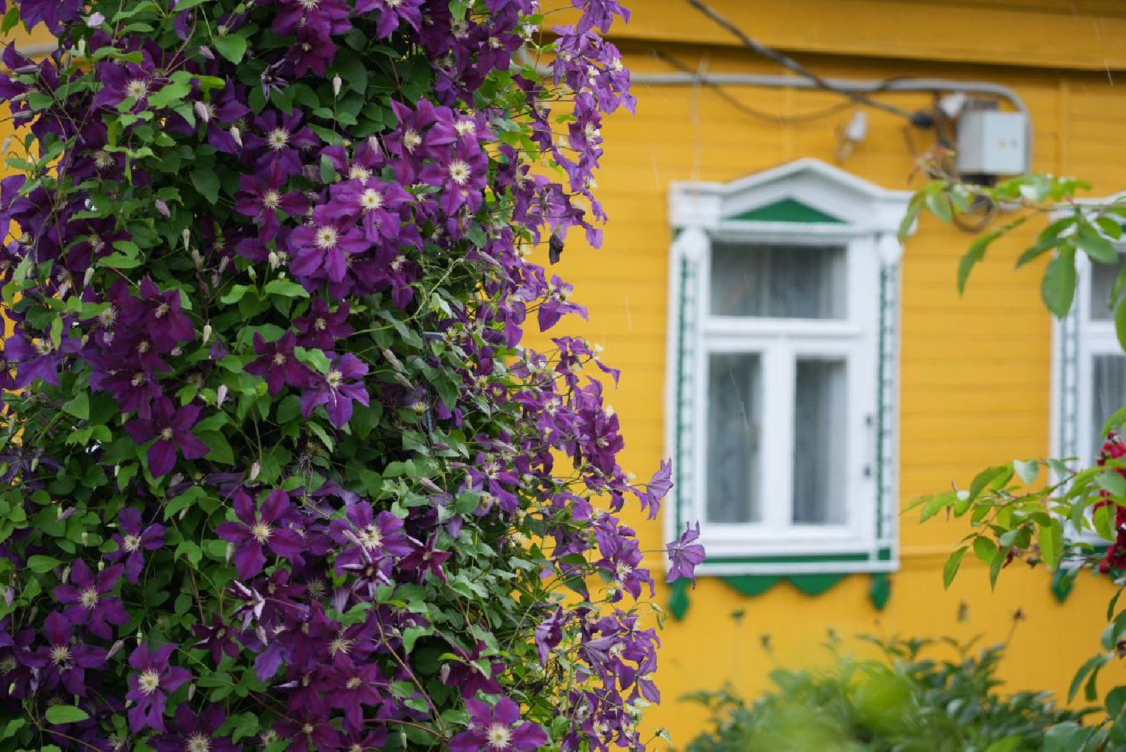 Сергиево-Посадский городской округ, Селиваново, ЖКХ, Водоканал, Министерство ЖКХ МО, Водоснабжение, Элетроэнергия