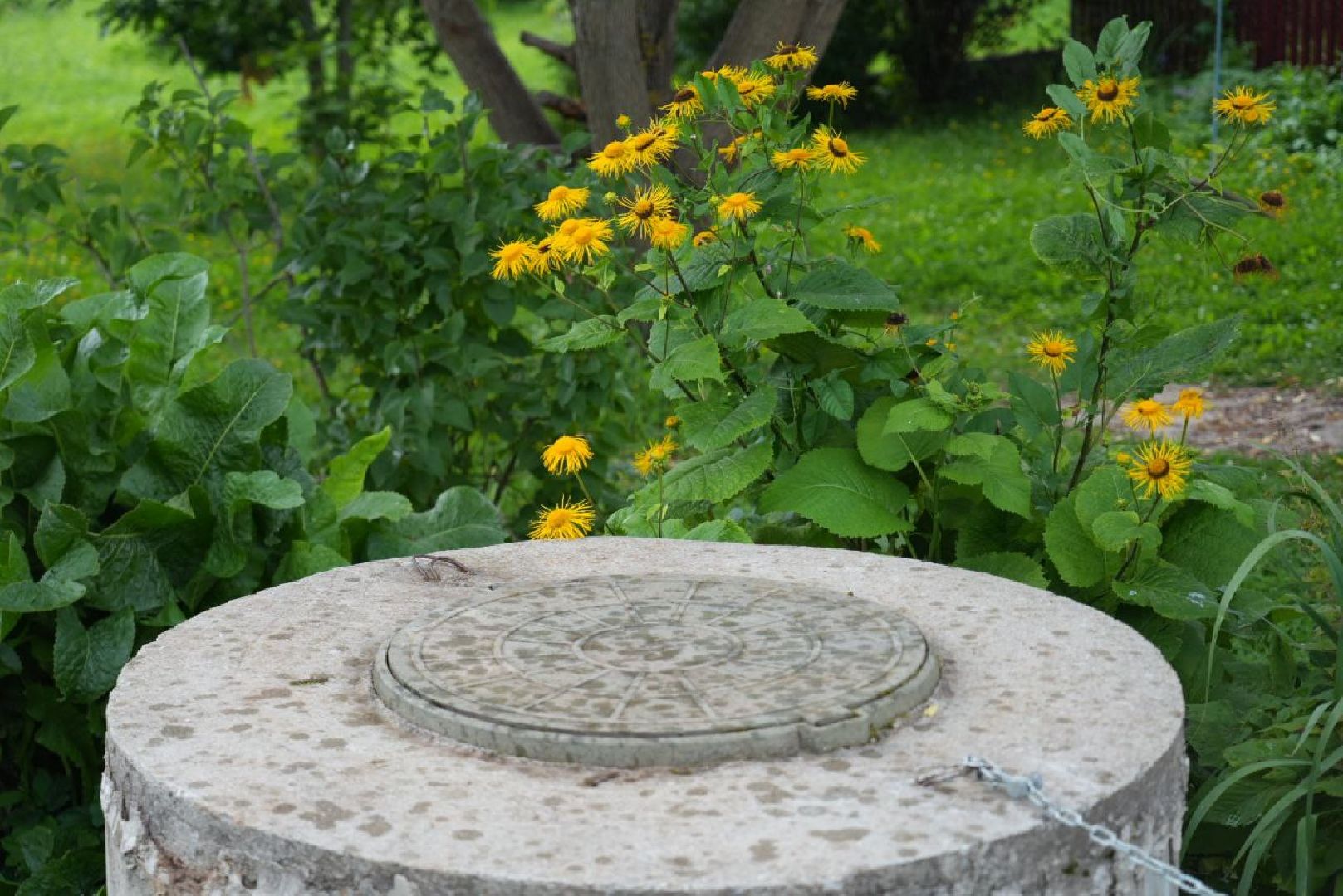 Сергиево-Посадский городской округ, Селиваново, ЖКХ, Водоканал, Министерство ЖКХ МО, Водоснабжение, Элетроэнергия