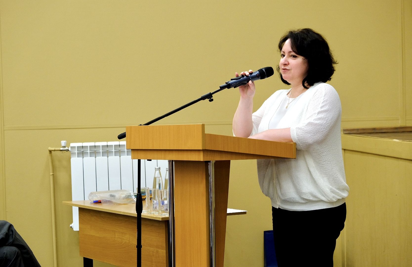 Солнечногорск, наблюдатели, выборы, общественники, жители