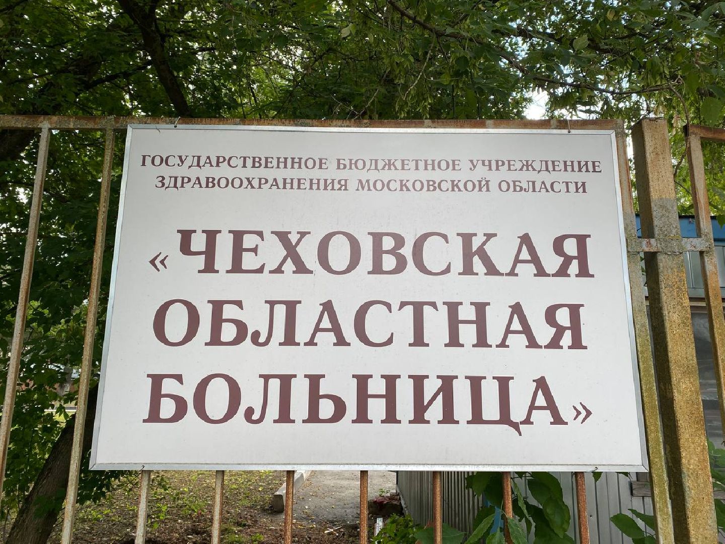 Чехов, медицина, врач, больница, земля врачам, губернатор, благодарность