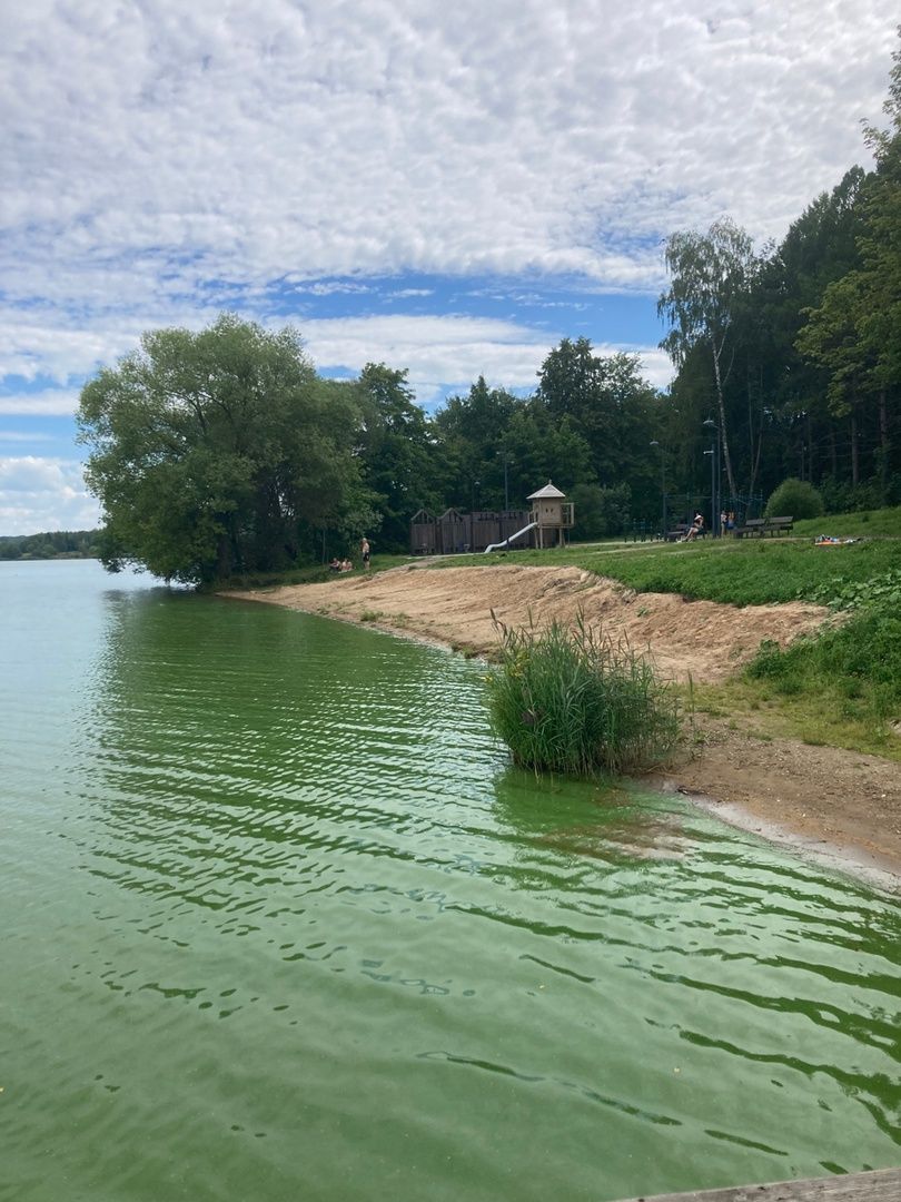 Солнечногорск, Сенеж, отдых, Роспотребнадзор, экология