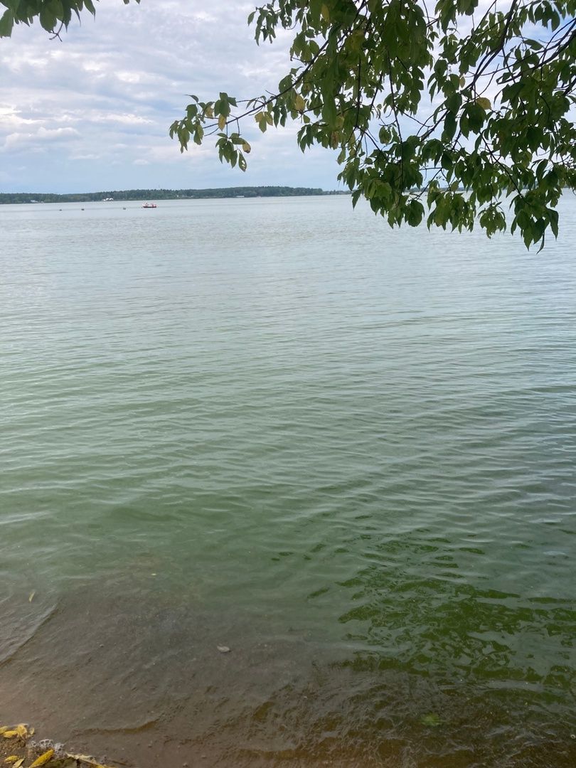 Солнечногорск, Сенеж, отдых, Роспотребнадзор, экология