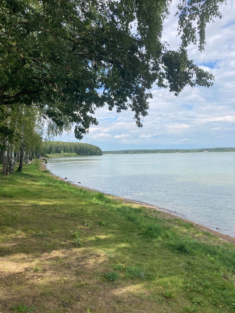 Солнечногорск, Сенеж, отдых, Роспотребнадзор, экология