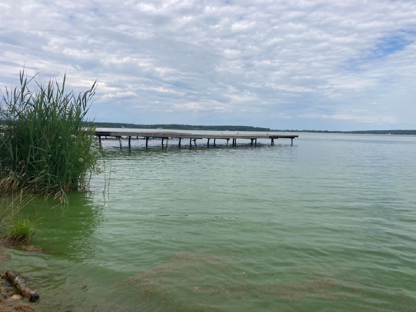 Солнечногорск, Сенеж, отдых, Роспотребнадзор, экология