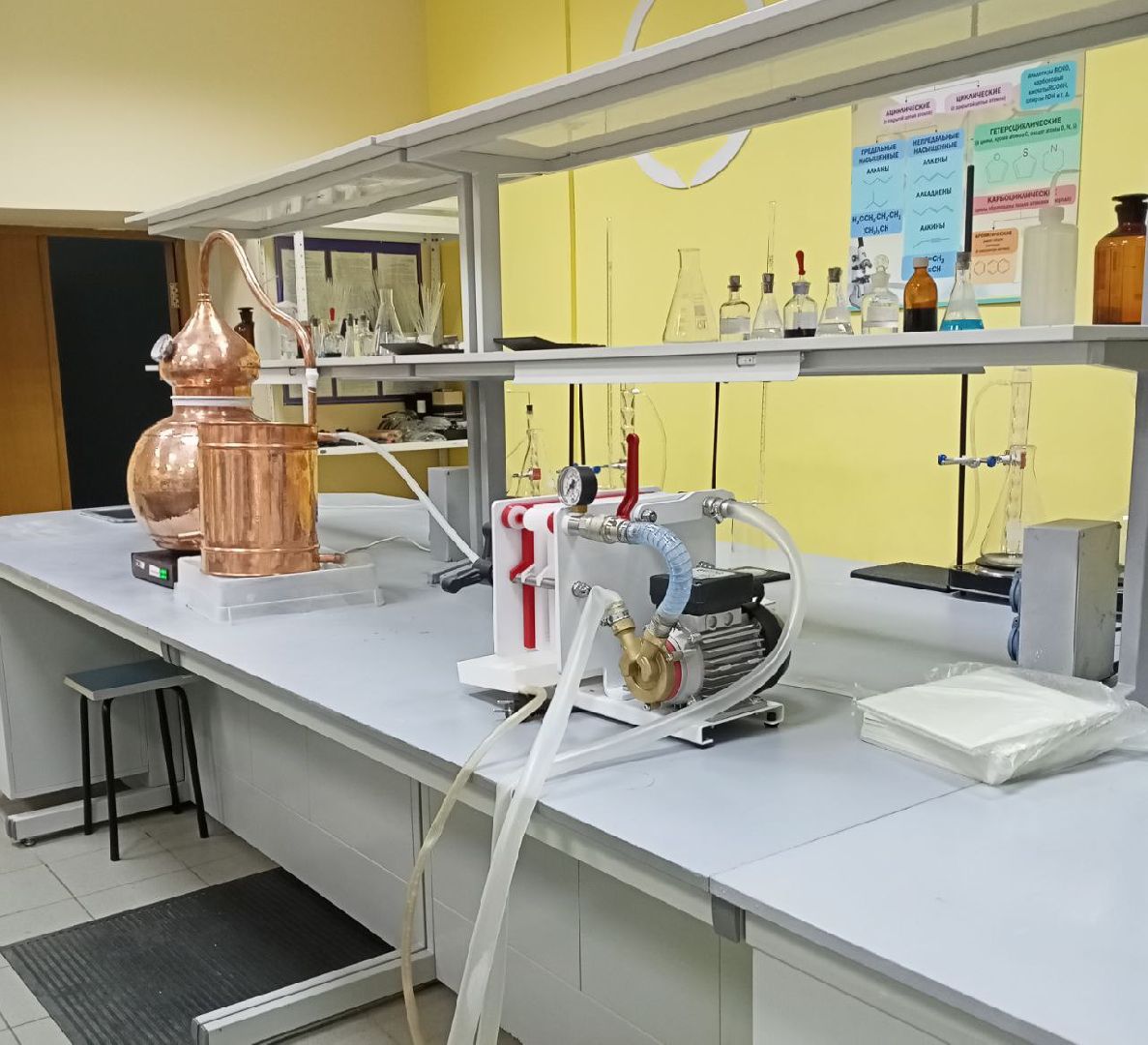 Балашиха, Подмосковье, экология, чемпионат «Профессионалы», виноделие