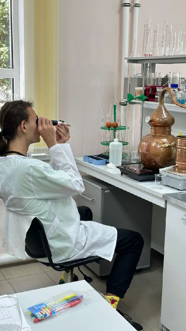 Балашиха, Подмосковье, экология, чемпионат «Профессионалы», виноделие