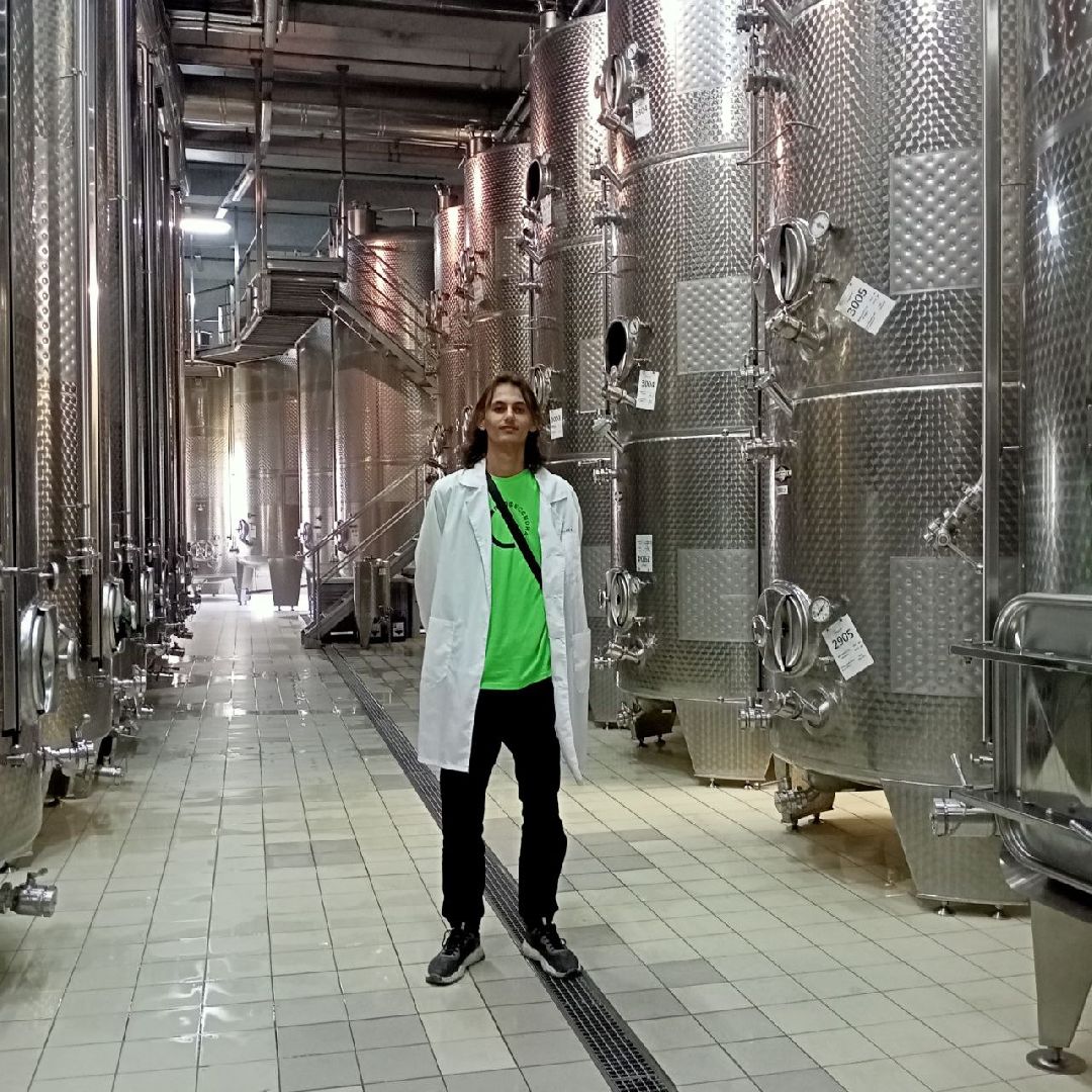 Балашиха, Подмосковье, экология, чемпионат «Профессионалы», виноделие