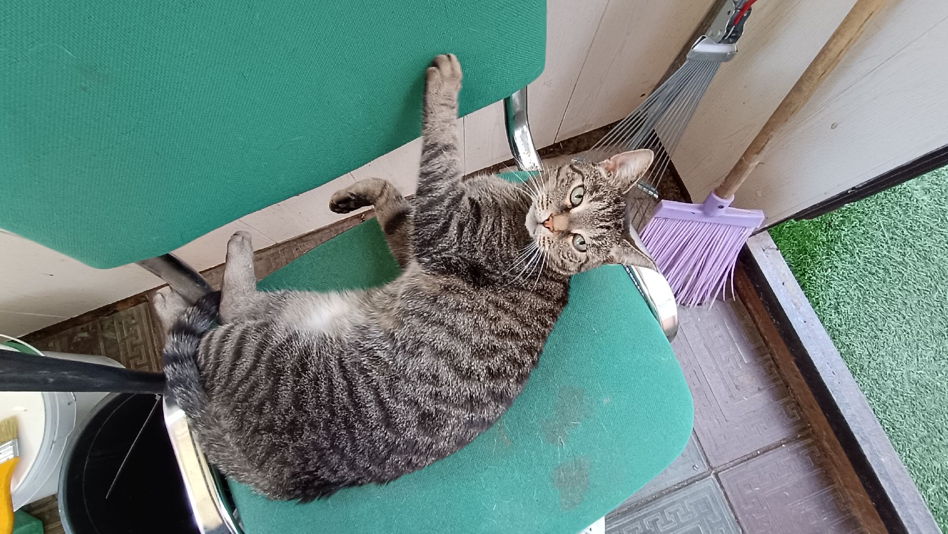 Лобня, стадион, реконструкция