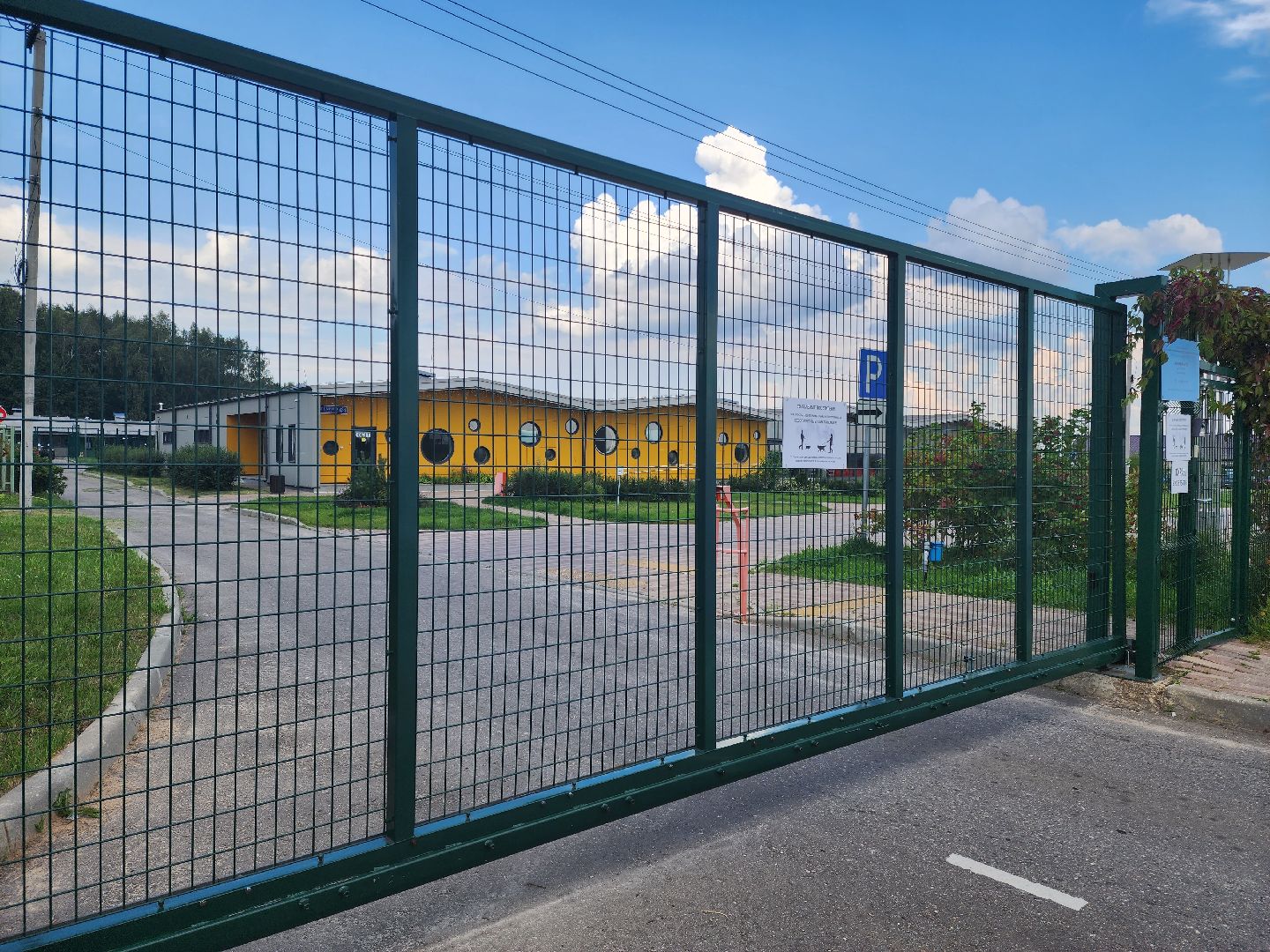 Подольск, собаки, кошки, приют, волонтеры, пристрой