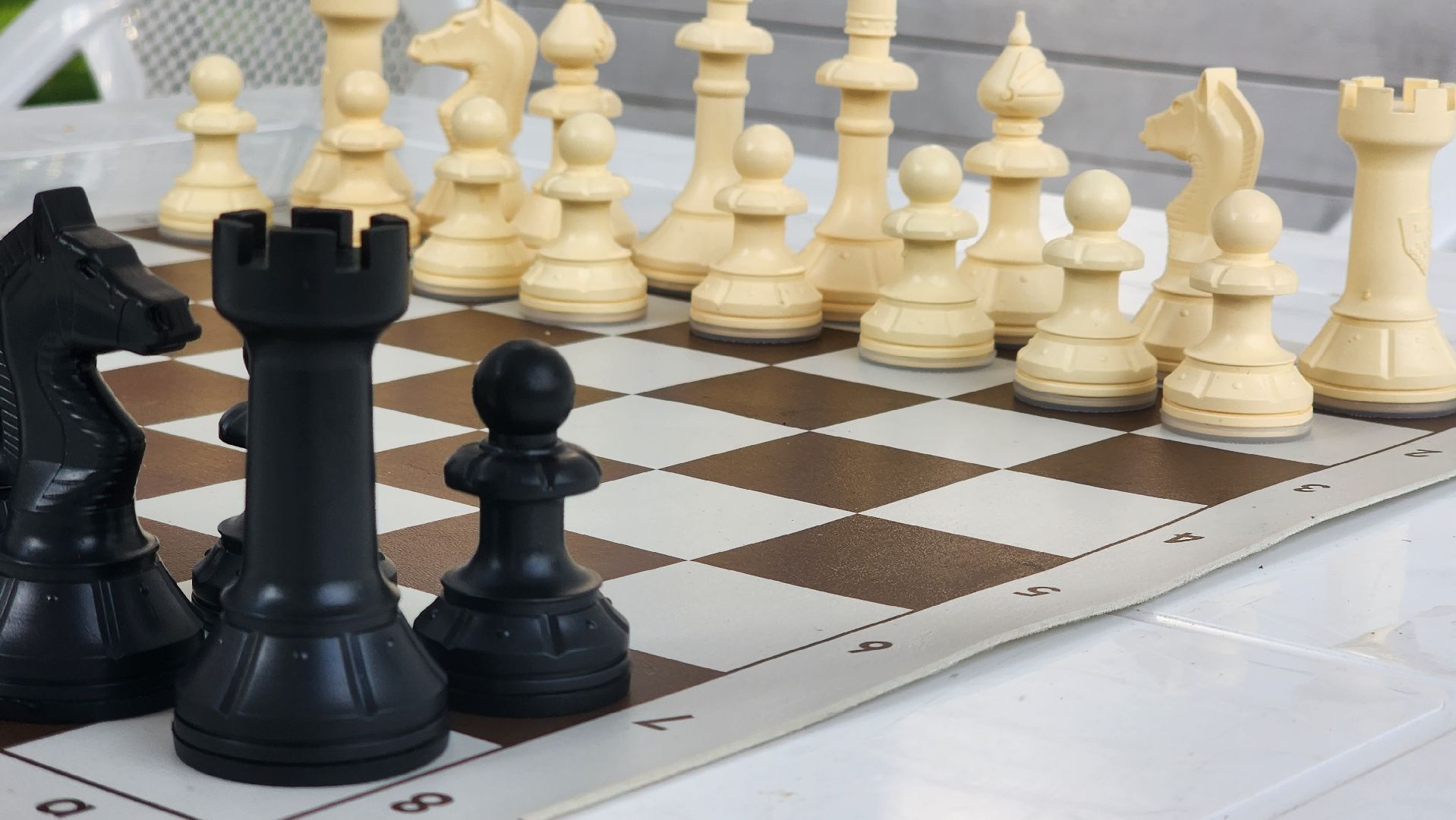 Пушкино, шахматы