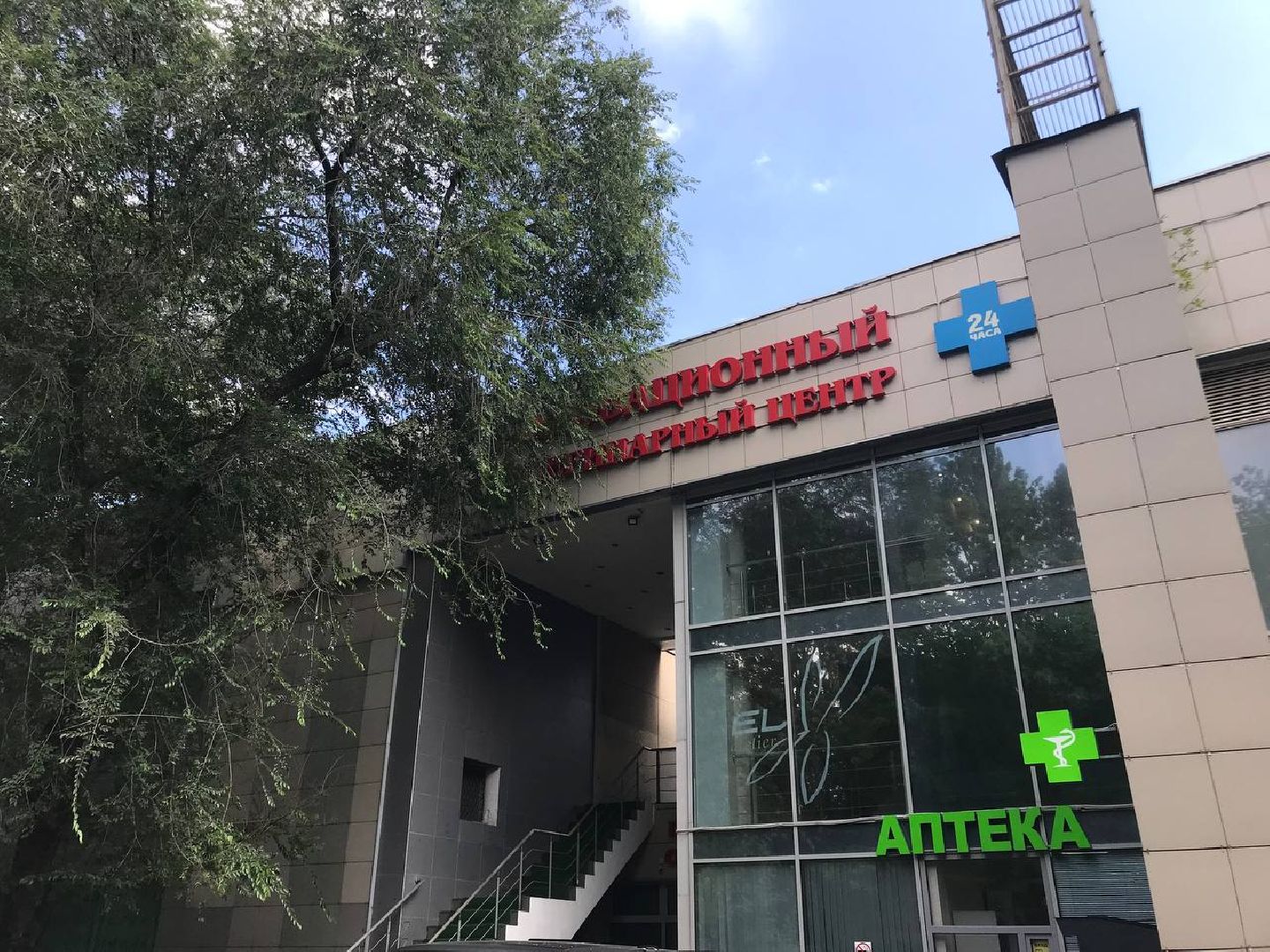 Подольск, собака, 11 этаж, выбросили собаку, жестокое обращение