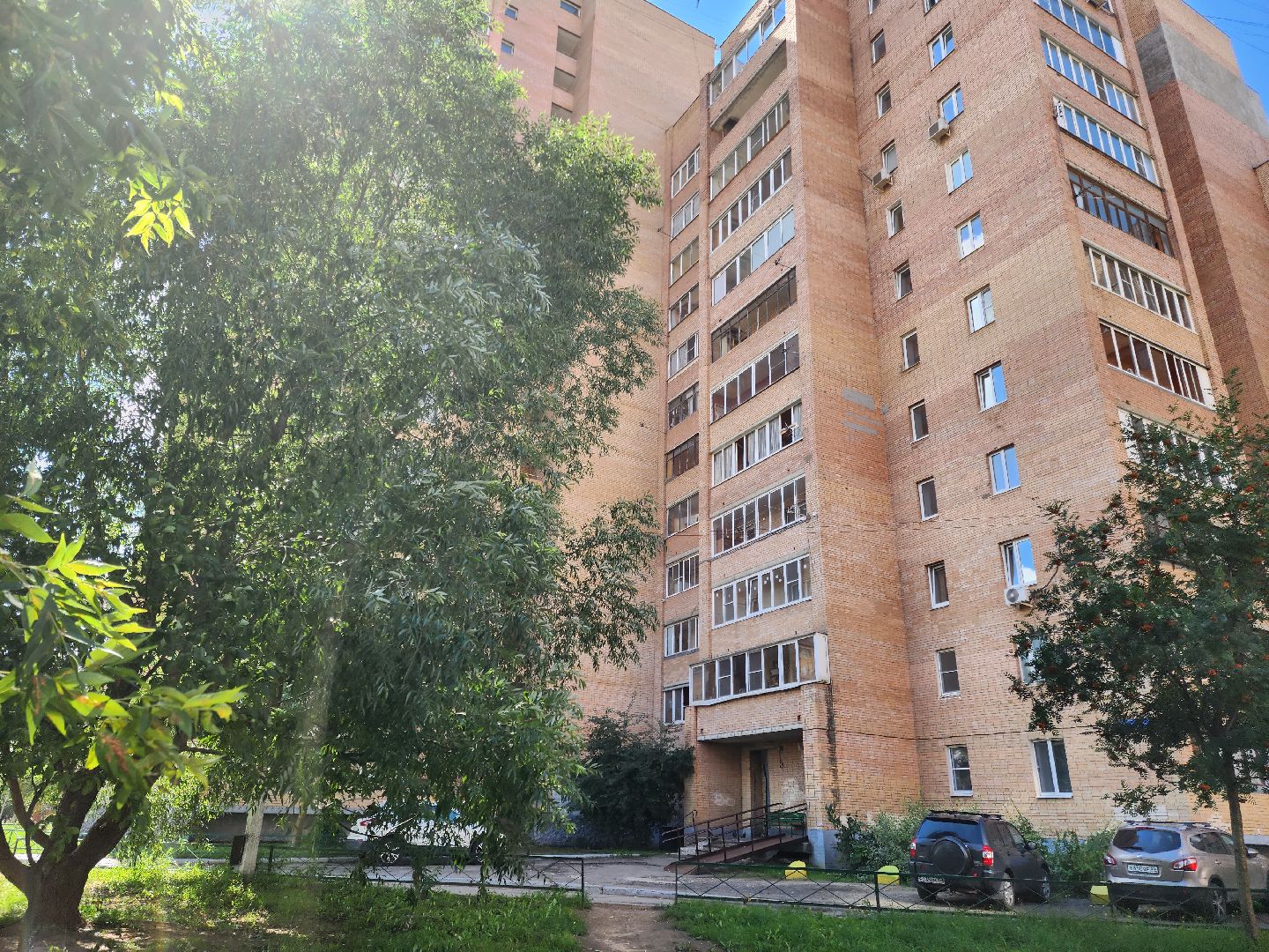 Подольск, собака, 11 этаж, выбросили собаку, жестокое обращение