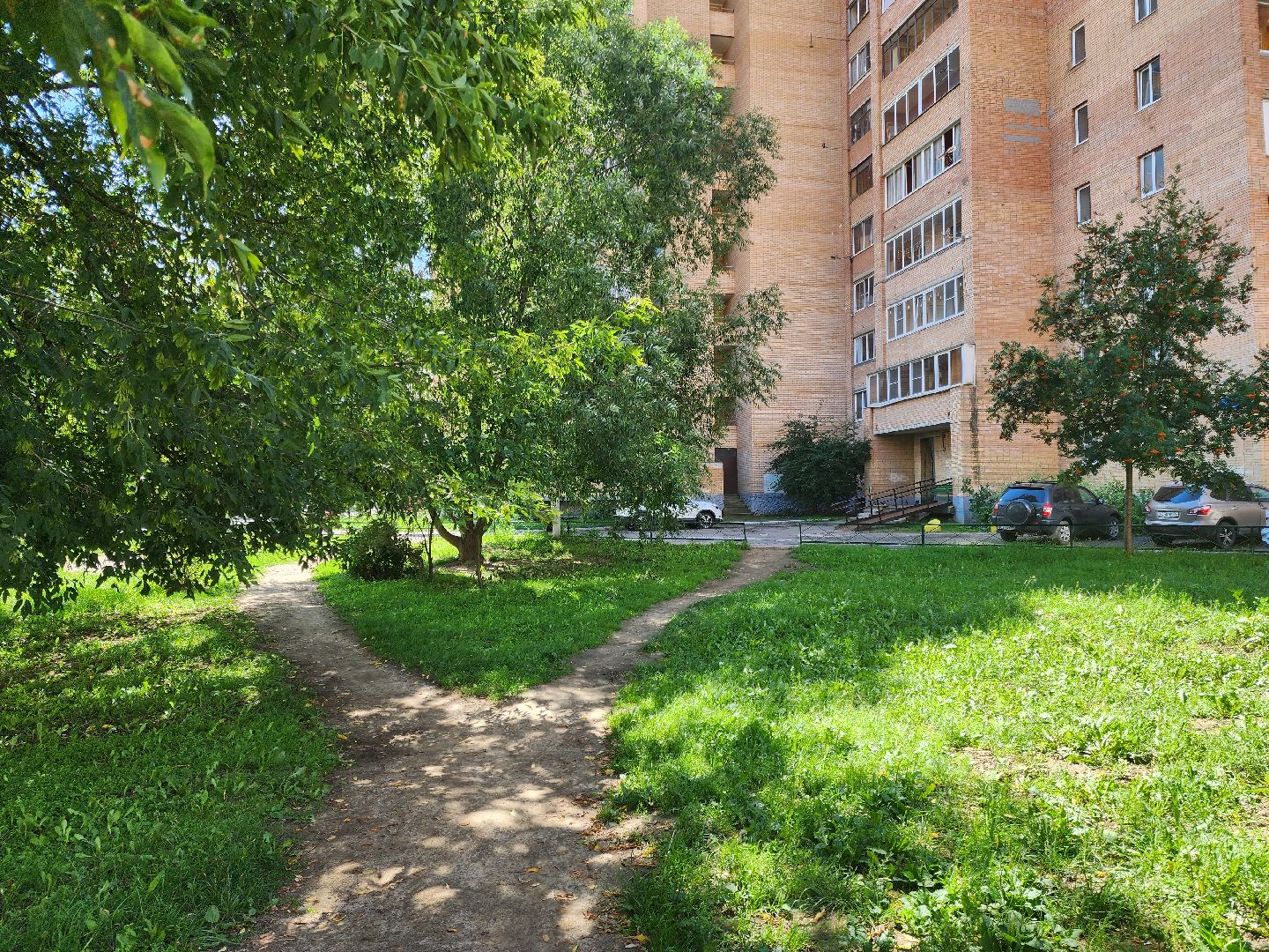 Подольск, собака, 11 этаж, выбросили собаку, жестокое обращение