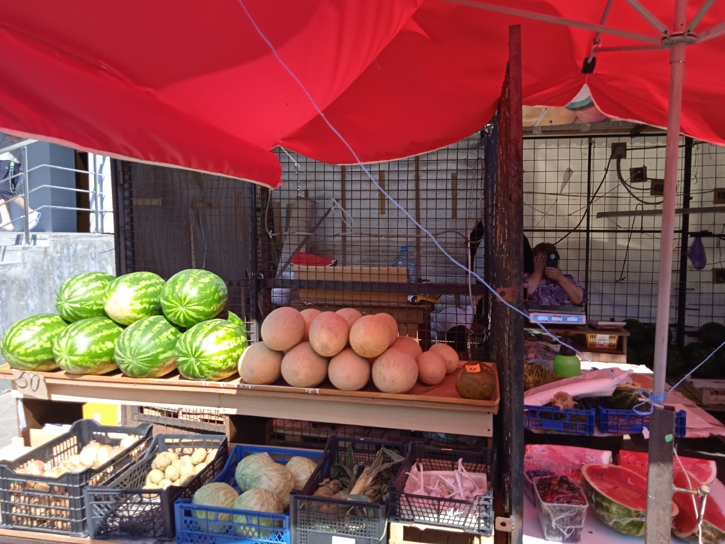 арбузы, дыни, сезон, точки, продажи, бахчевых