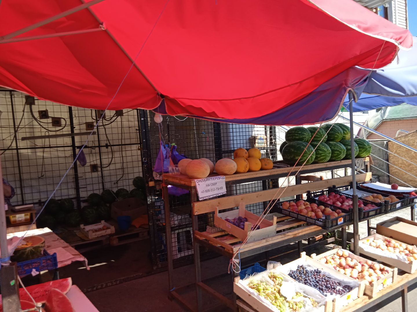 арбузы, дыни, сезон, точки, продажи, бахчевых