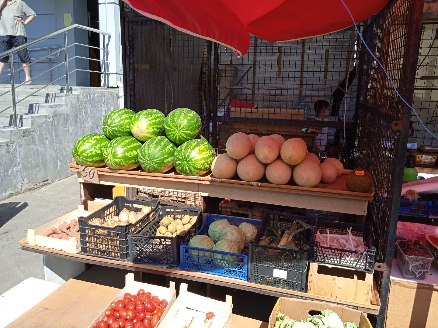 арбузы, дыни, сезон, точки, продажи, бахчевых