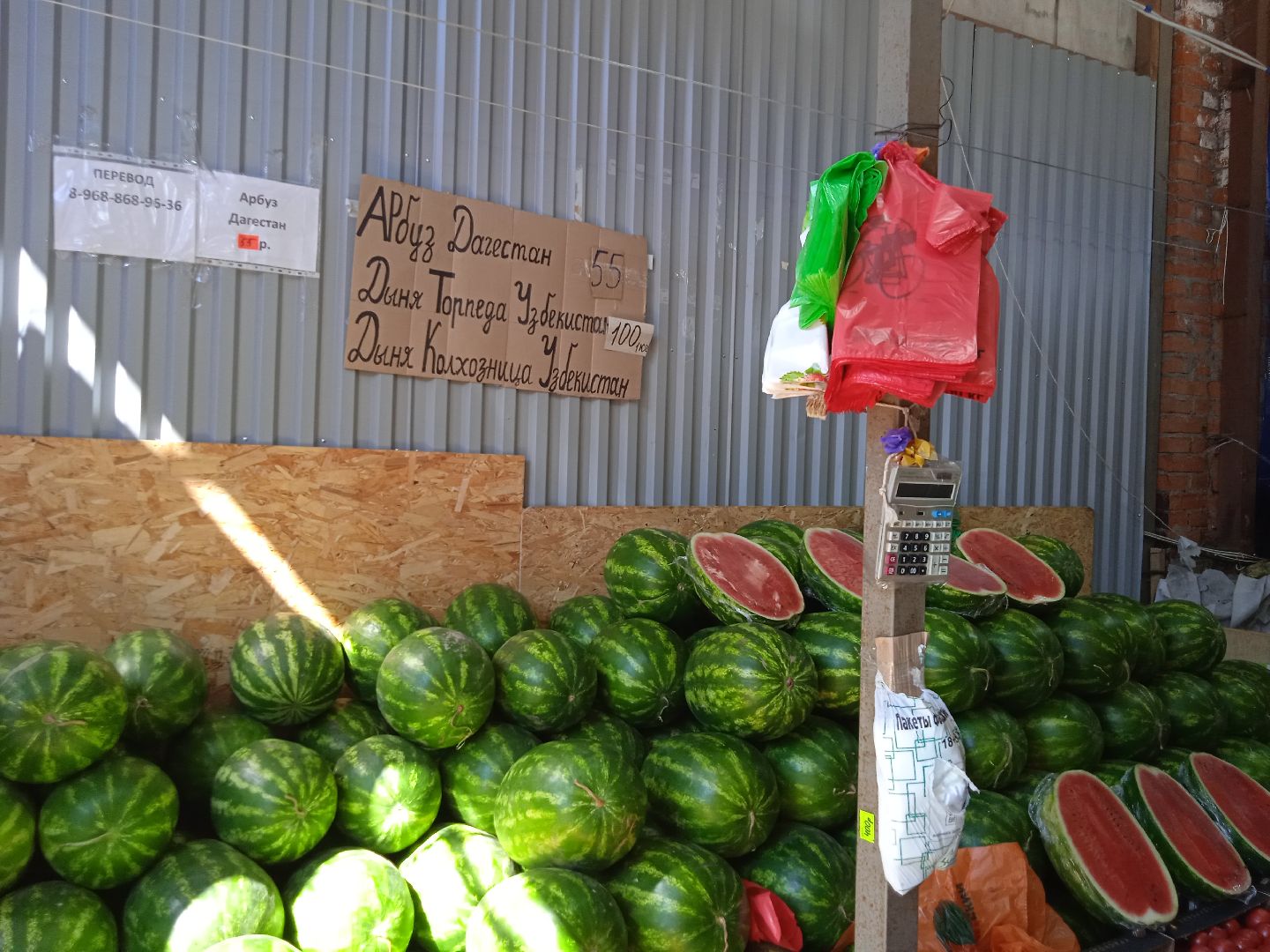 арбузы, дыни, сезон, точки, продажи, бахчевых