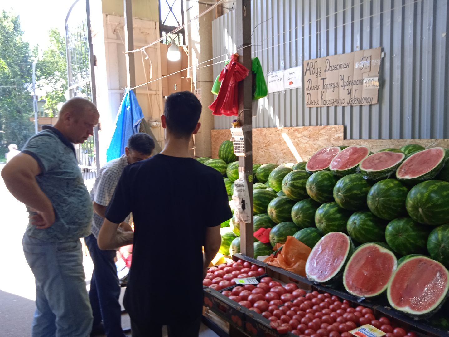 арбузы, дыни, сезон, точки, продажи, бахчевых