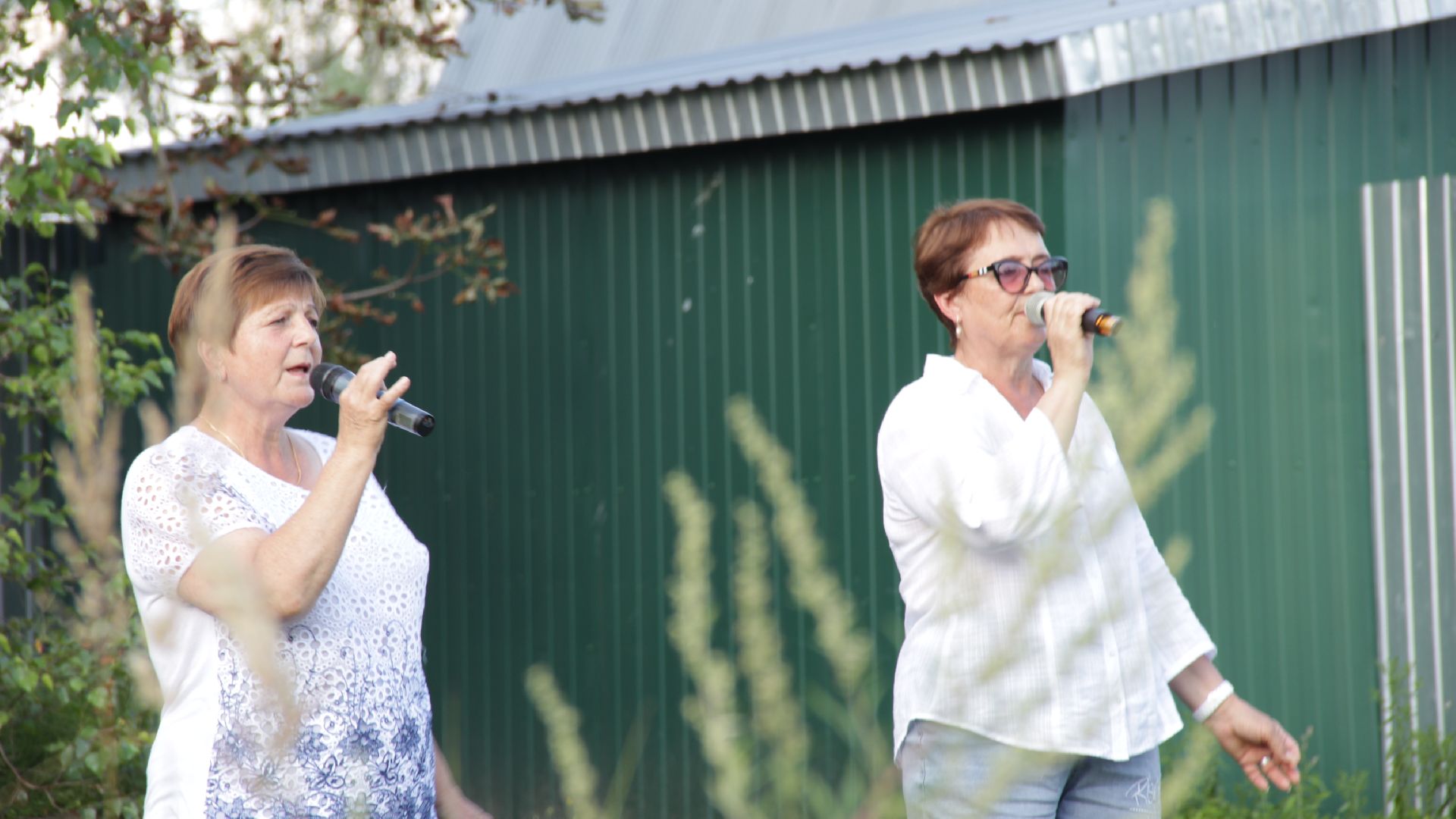 #Рошаль#СНТЮбилейное#ДеревенькаМоя#ДККосякова#БольшаяШатура