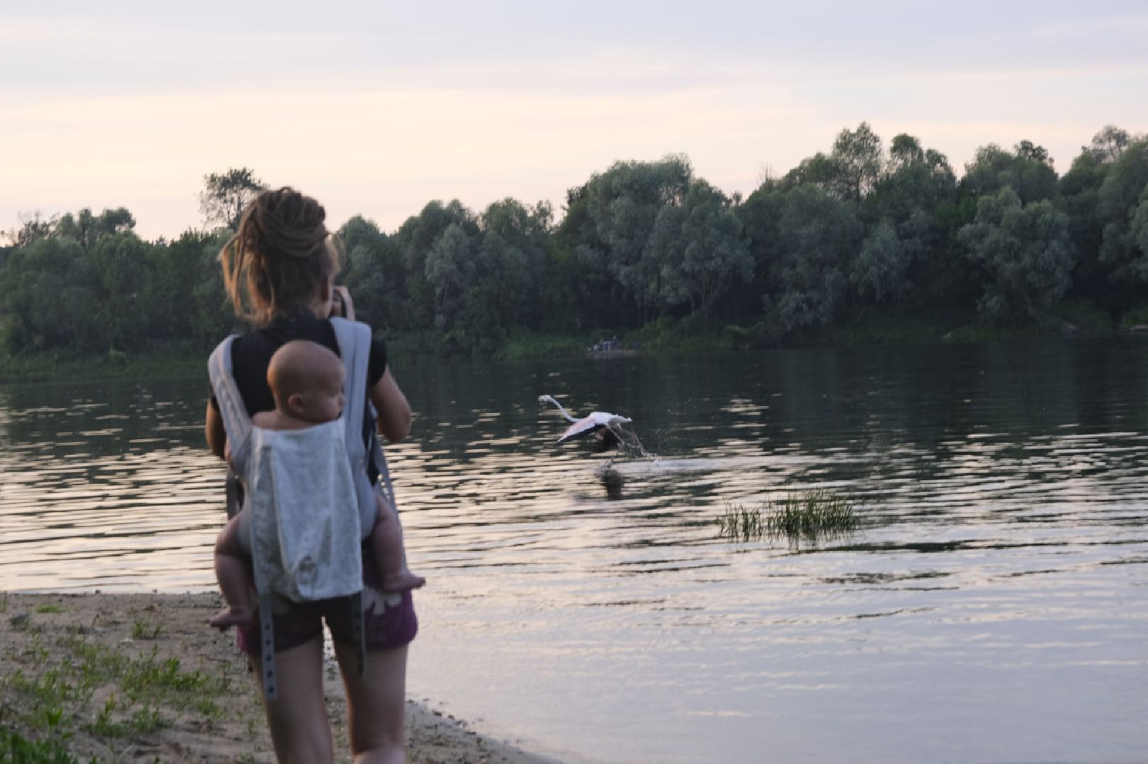 Пущино, экология