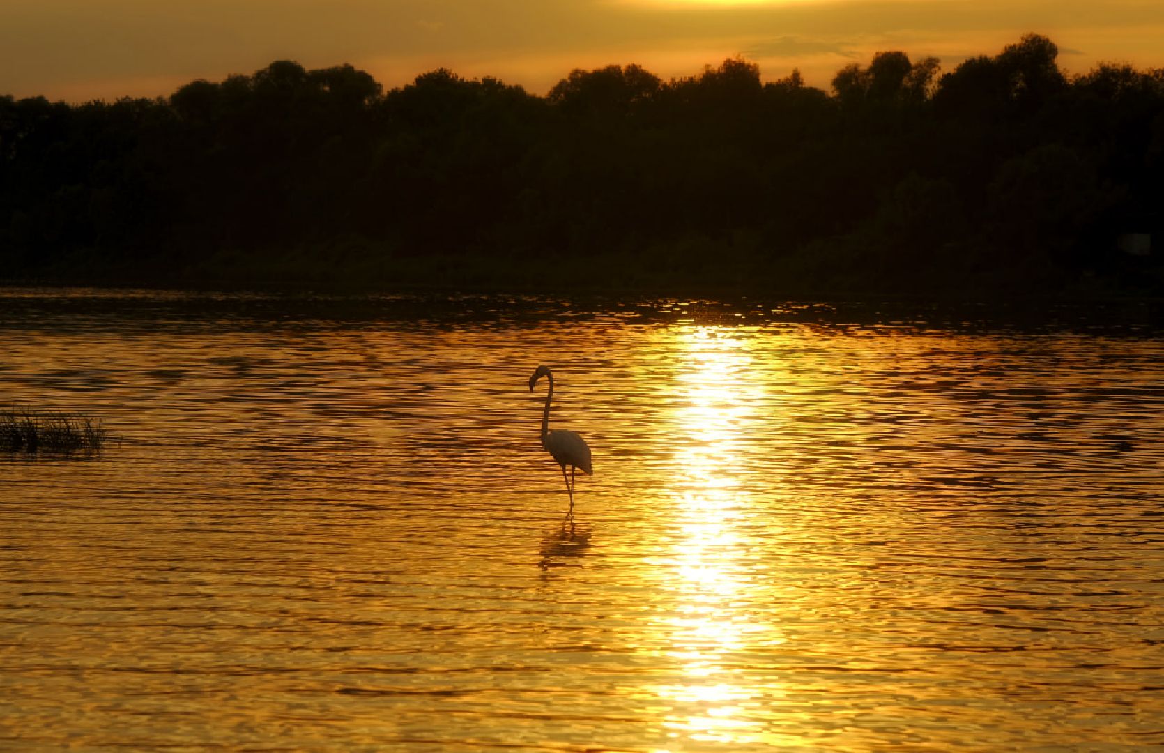 Пущино, экология
