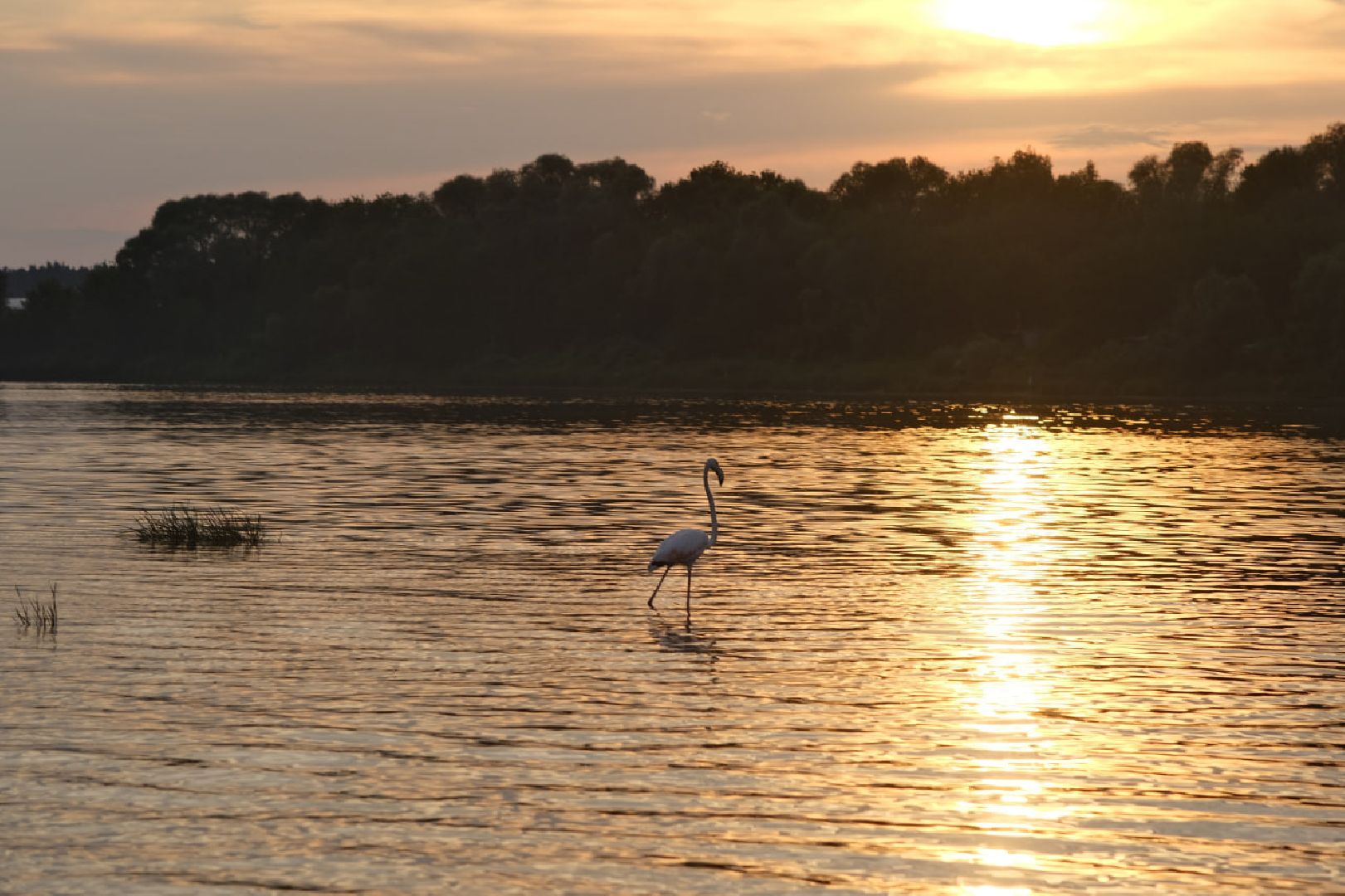 Пущино, экология