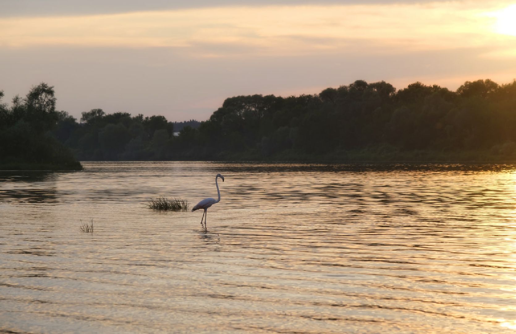 Пущино, экология