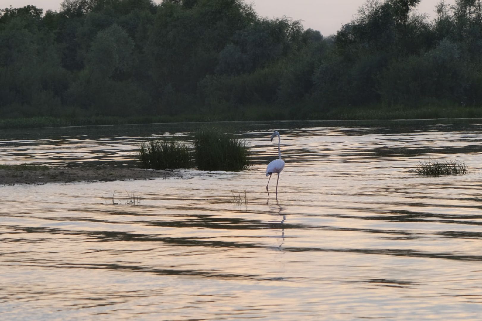 Пущино, экология