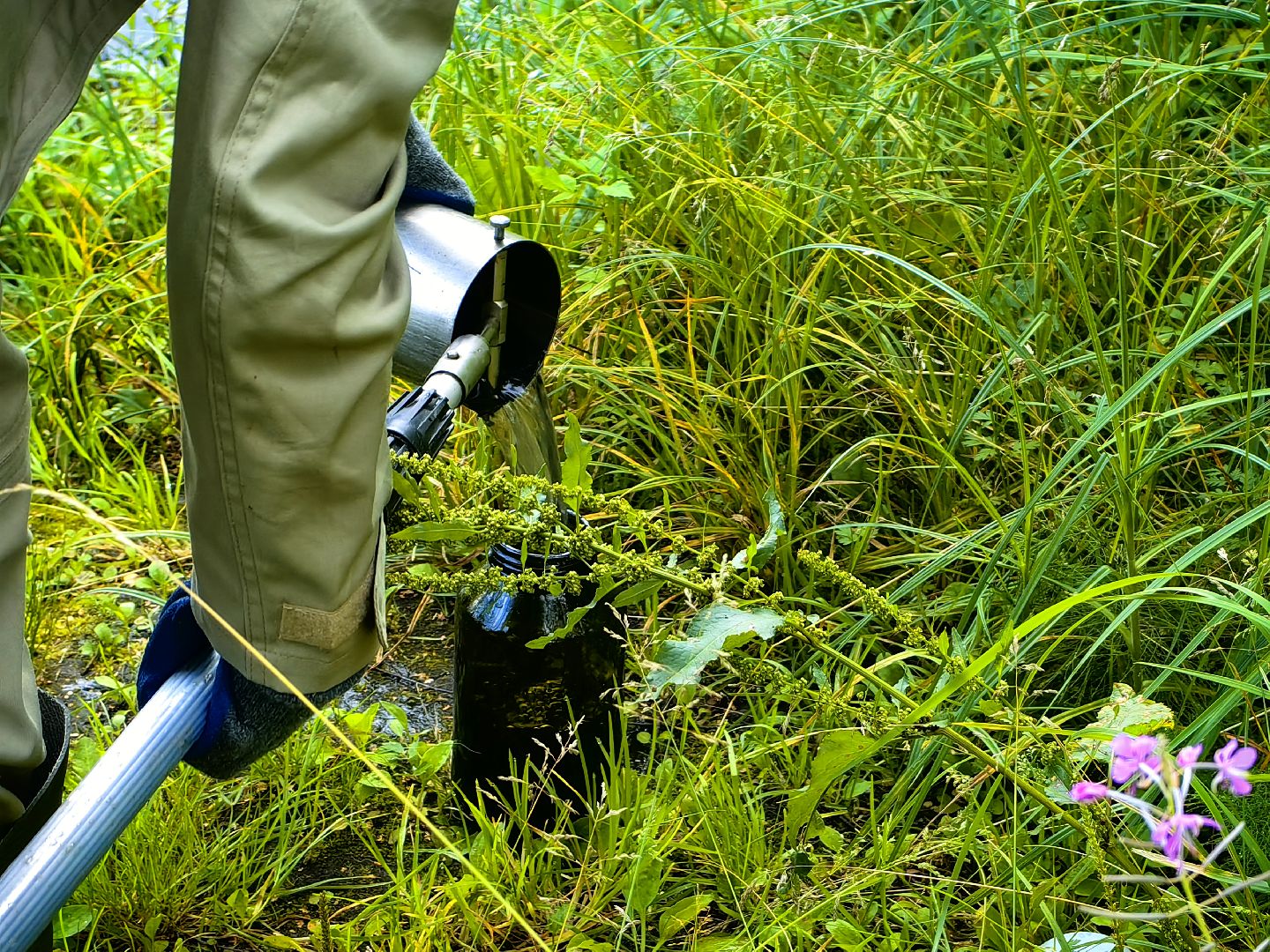 Вода, пробы, загрязнение, КНС