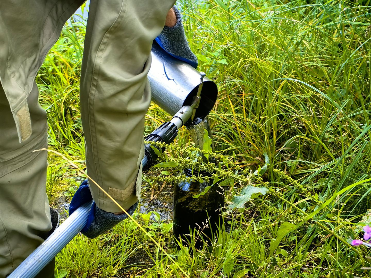 Вода, пробы, загрязнение, КНС