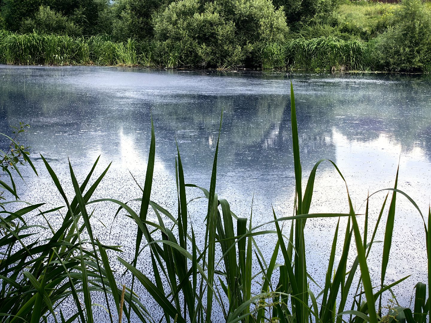 Вода, пробы, загрязнение, КНС