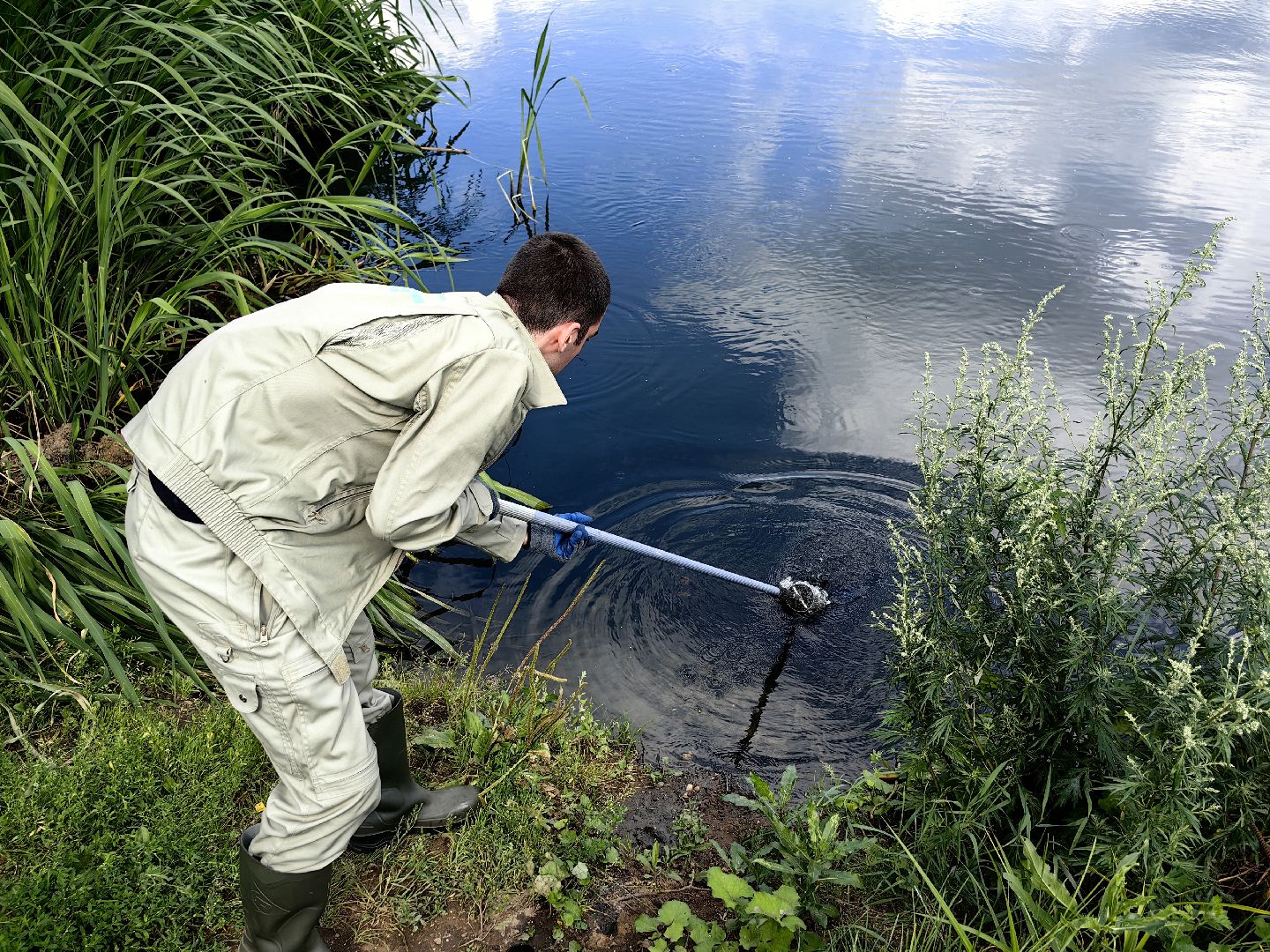 Вода, пробы, загрязнение, КНС