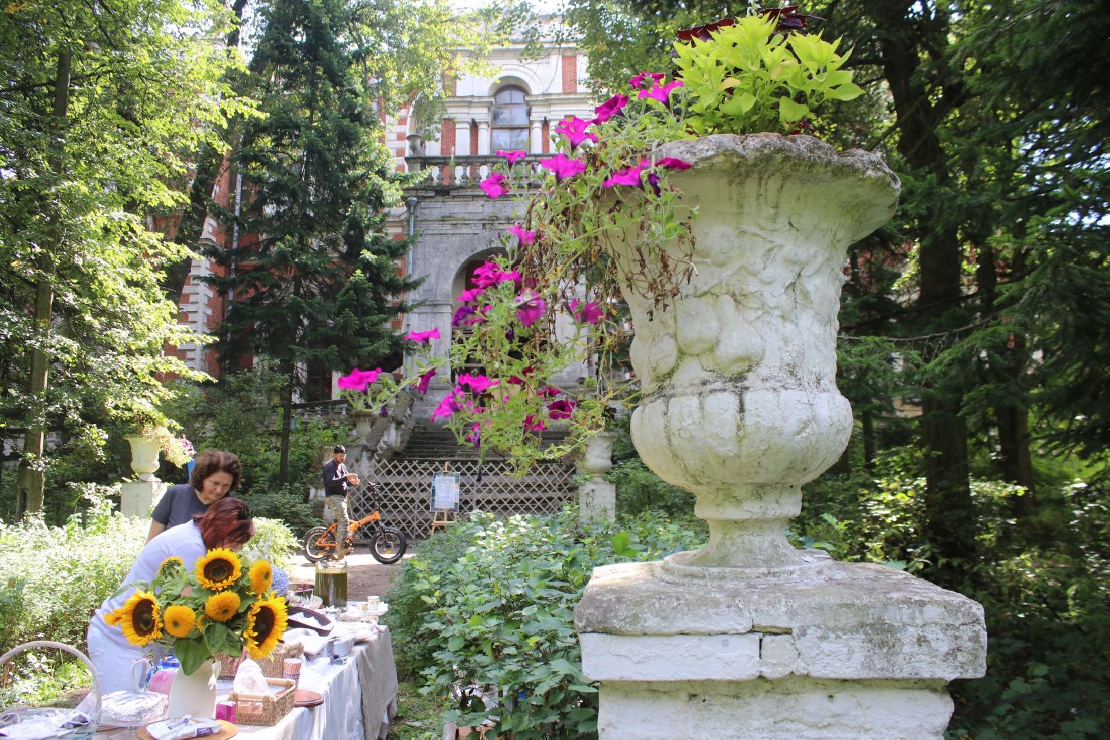 усадьба, Быково, реконструкция