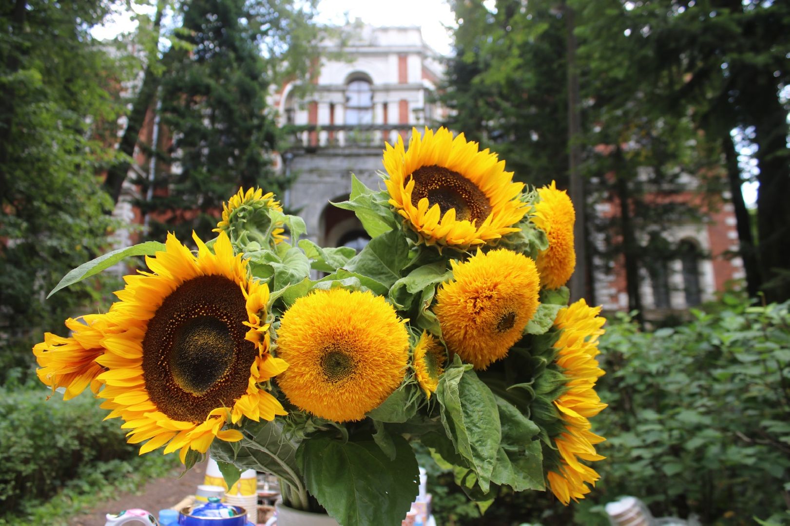 усадьба, Быково, реконструкция