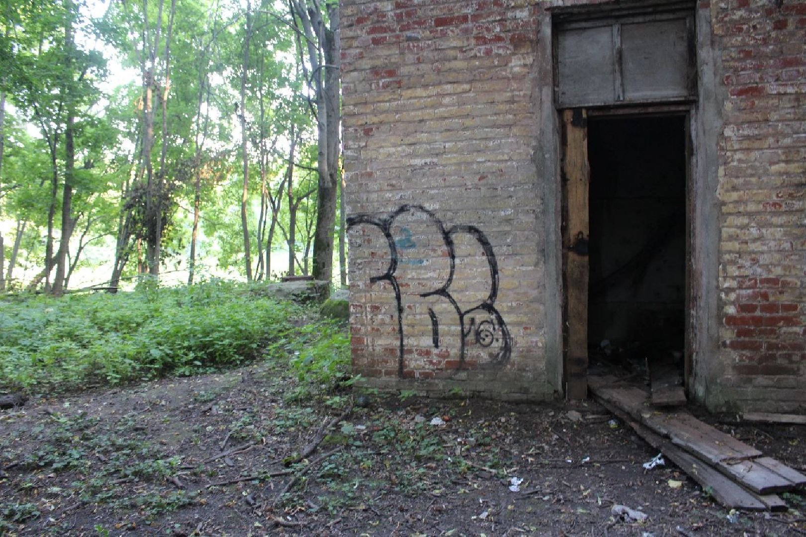 усадьба, Быково, реконструкция