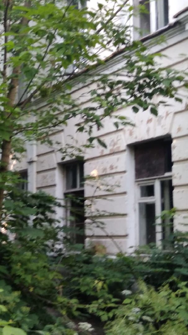 усадьба, Быково, реконструкция